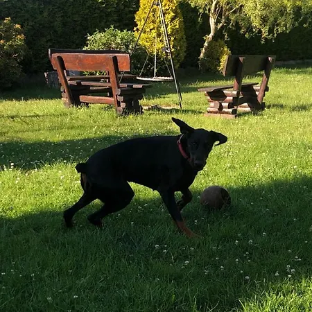 Kemp Drewniane Pod Brzozami