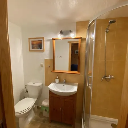 Drewniane Pod Brzozami Kemp