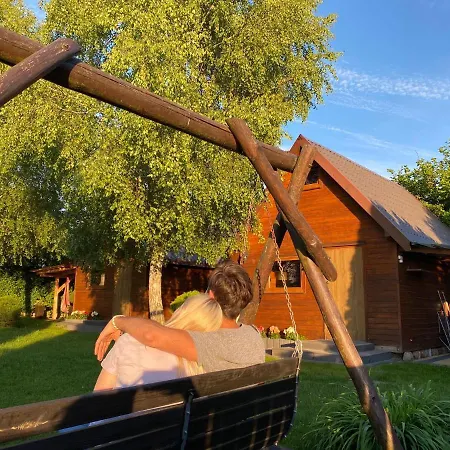 Drewniane Pod Brzozami Kemp