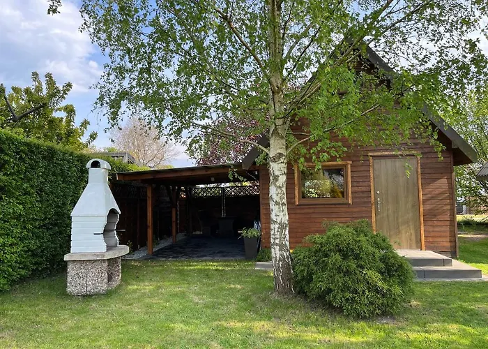 Drewniane Pod Brzozami *