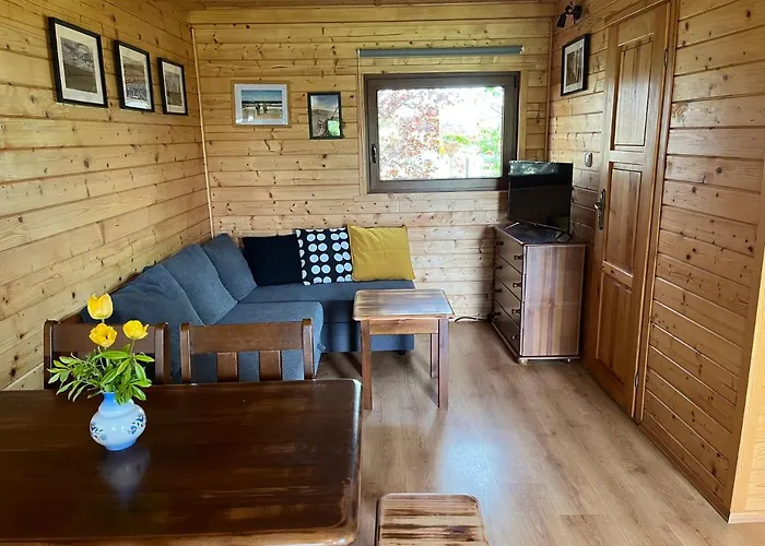 Drewniane Pod Brzozami