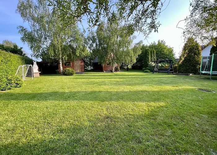 Drewniane Pod Brzozami Kemp